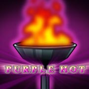 Purple Hot Purple Hot